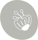 composizioni-floreali https://www.stelis.it/wp-content/uploads/2024/11/composizioni-floreali.png