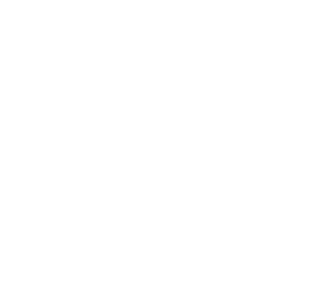 logo-white https://www.stelis.it/wp-content/uploads/2024/11/logo-white-320x283.png