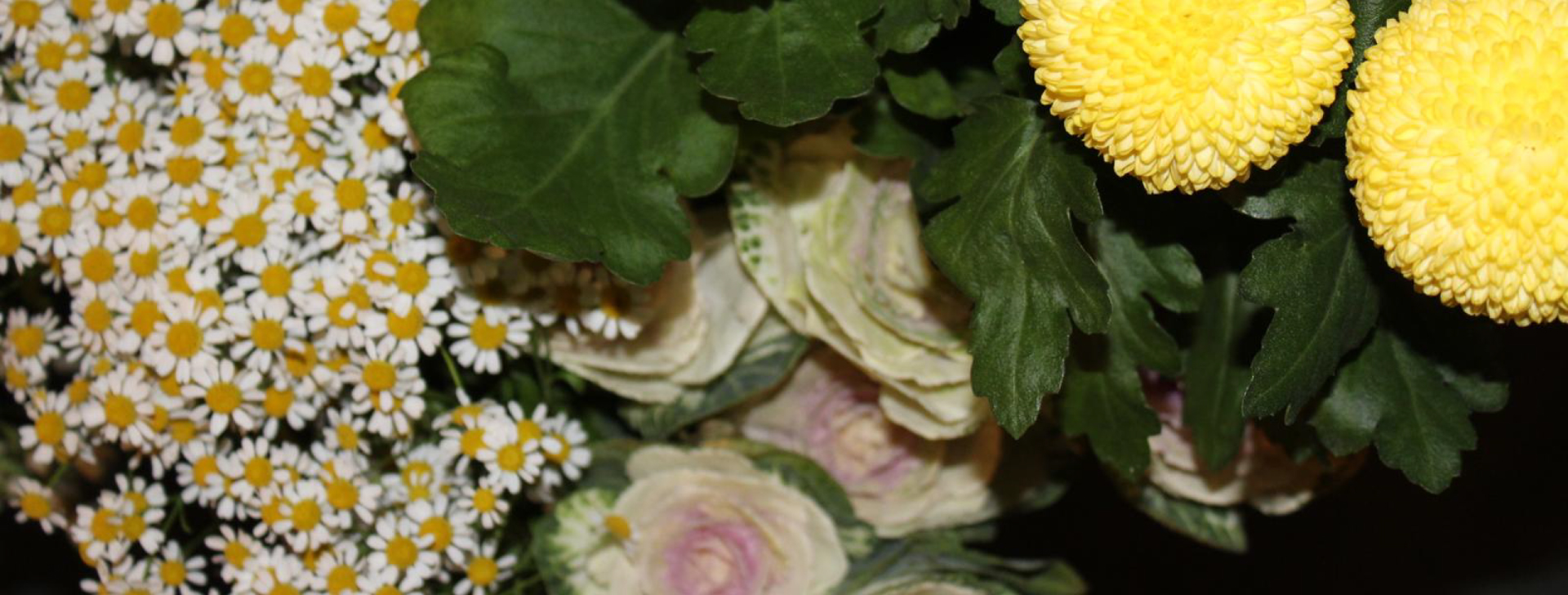 Stelis-foto-sito-1 https://www.stelis.it/wp-content/uploads/2024/12/Stelis-foto-sito-1.jpg