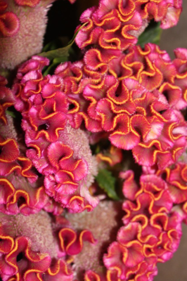 Stelis-foto-sito-2 https://www.stelis.it/wp-content/uploads/2024/12/Stelis-foto-sito-2.jpg