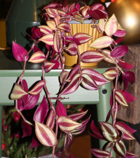 Stelis-foto-sito-5 https://www.stelis.it/wp-content/uploads/2024/12/Stelis-foto-sito-5.jpg